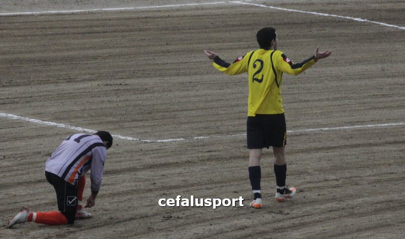 120310 stefanese 091y_tn.jpg